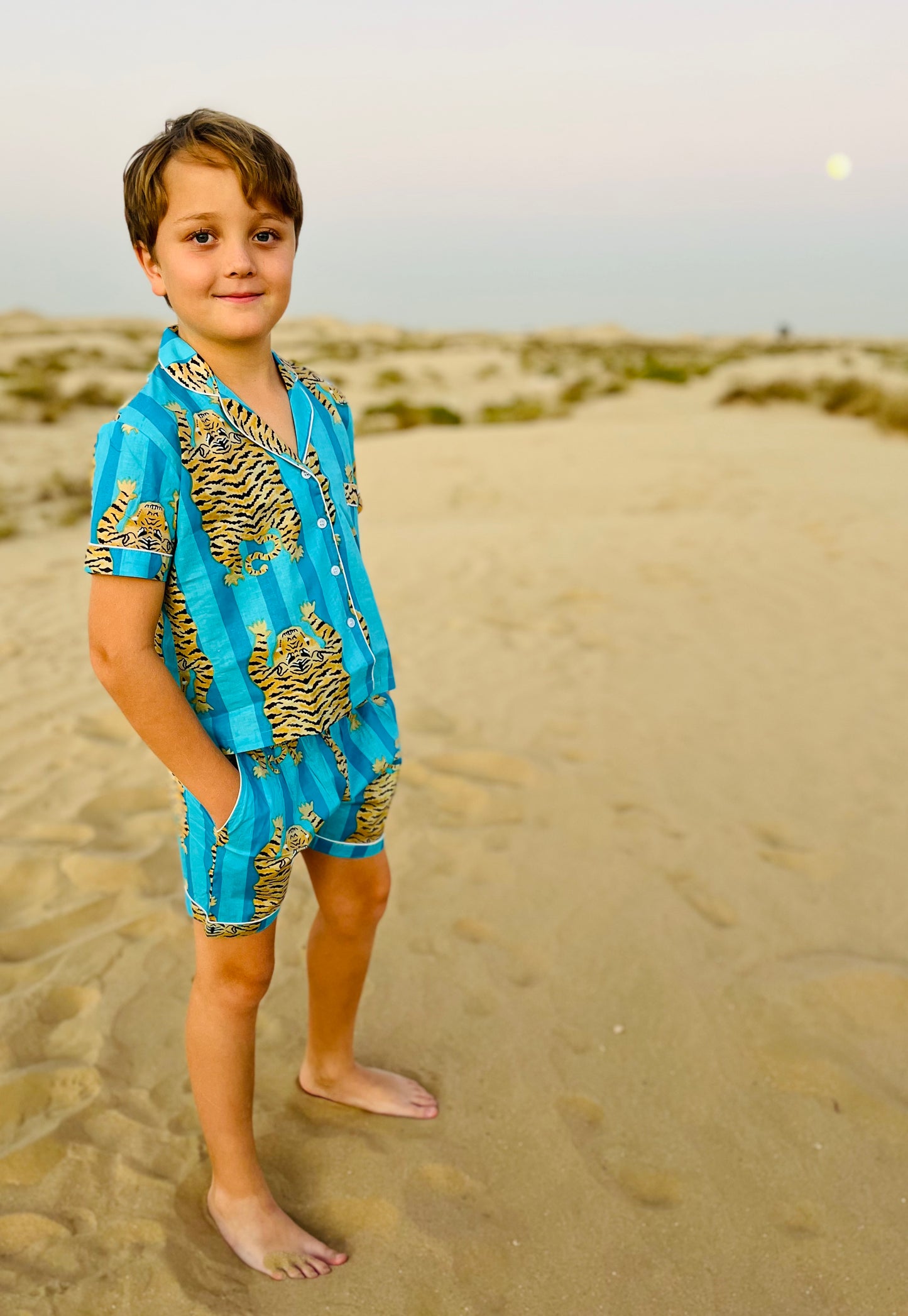 Kids PJs - Blue Stripe Tiger